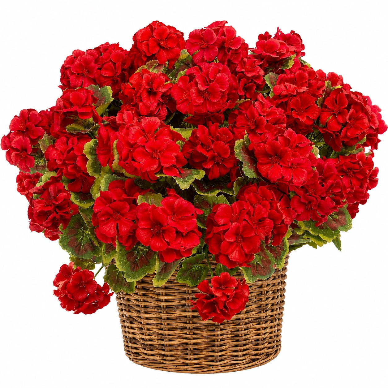 Geranio Artificiale Rosso in Cesto di Vimini, Altezza 45 cm