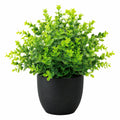 Pianta Artificiale in Vaso Nero 25cm Verde